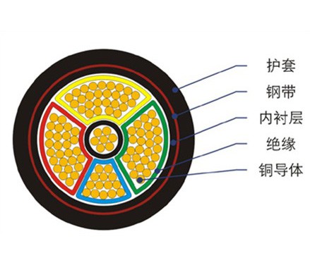 交聯聚乙烯絕緣聚氯乙烯護套電力電纜